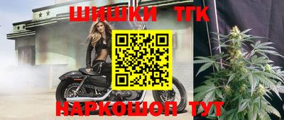 крисы Малгобек
