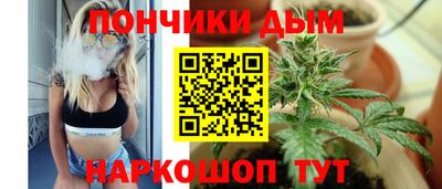 крисы Малгобек