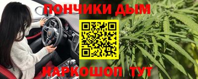 крисы Малгобек
