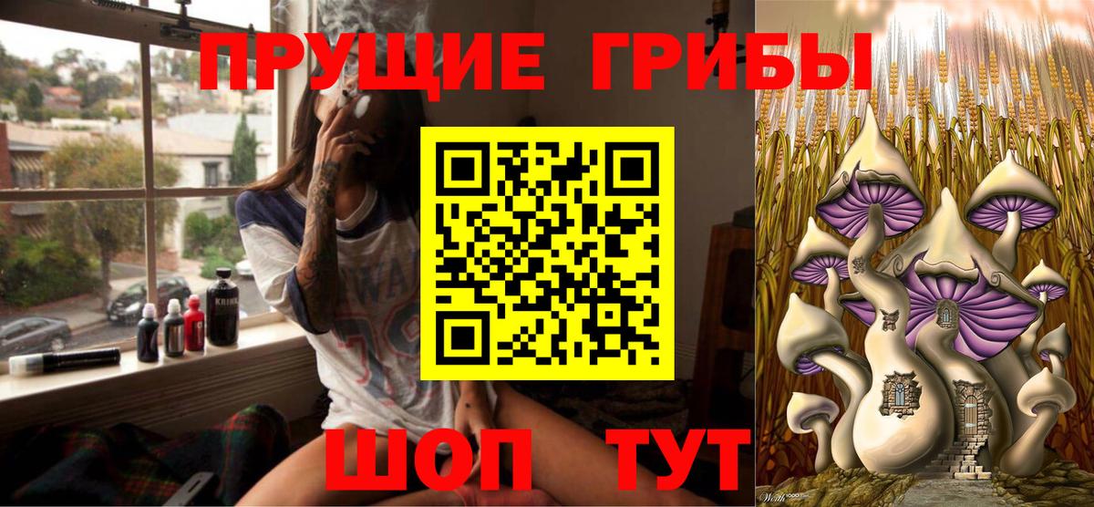 Галлюциногенные грибы Psilocybe  Вход с VPN  Галлюциногенные грибы Psilocybine cubensis  Шарыпово 