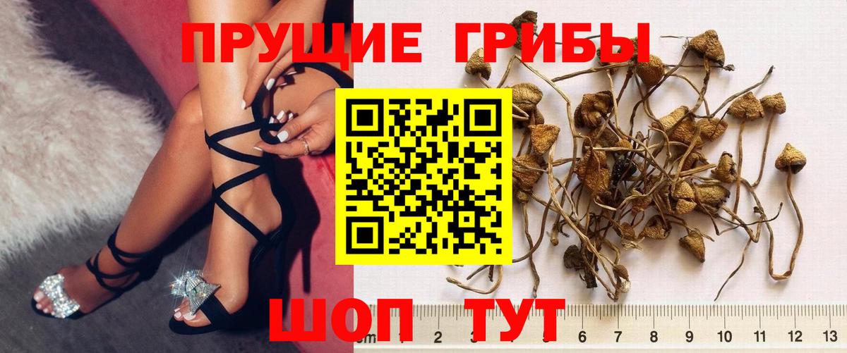 Псилоцибиновые грибы MAGIC MUSHROOMS Шарыпово